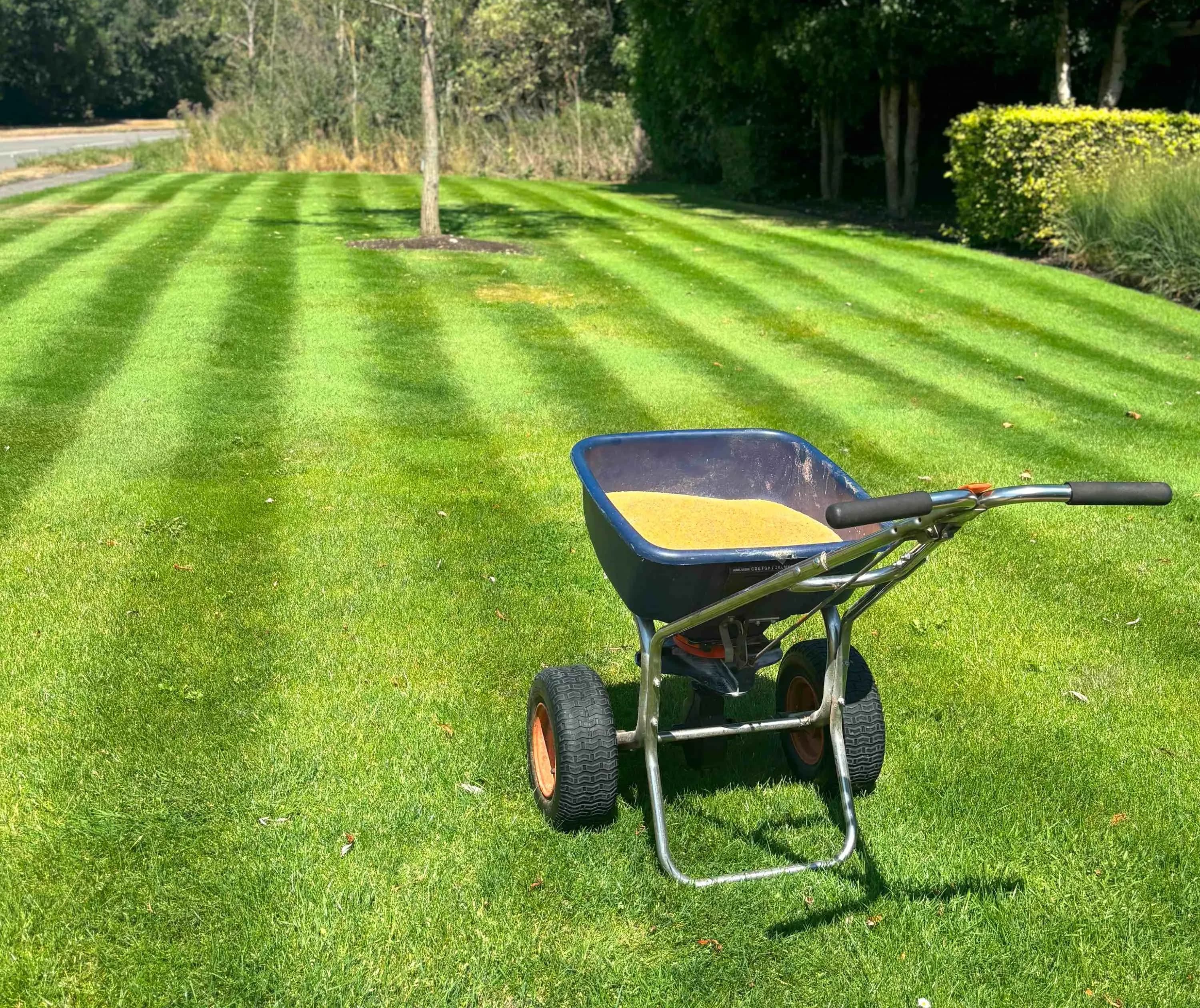 Image of fertiliser spreader on striped lawn 