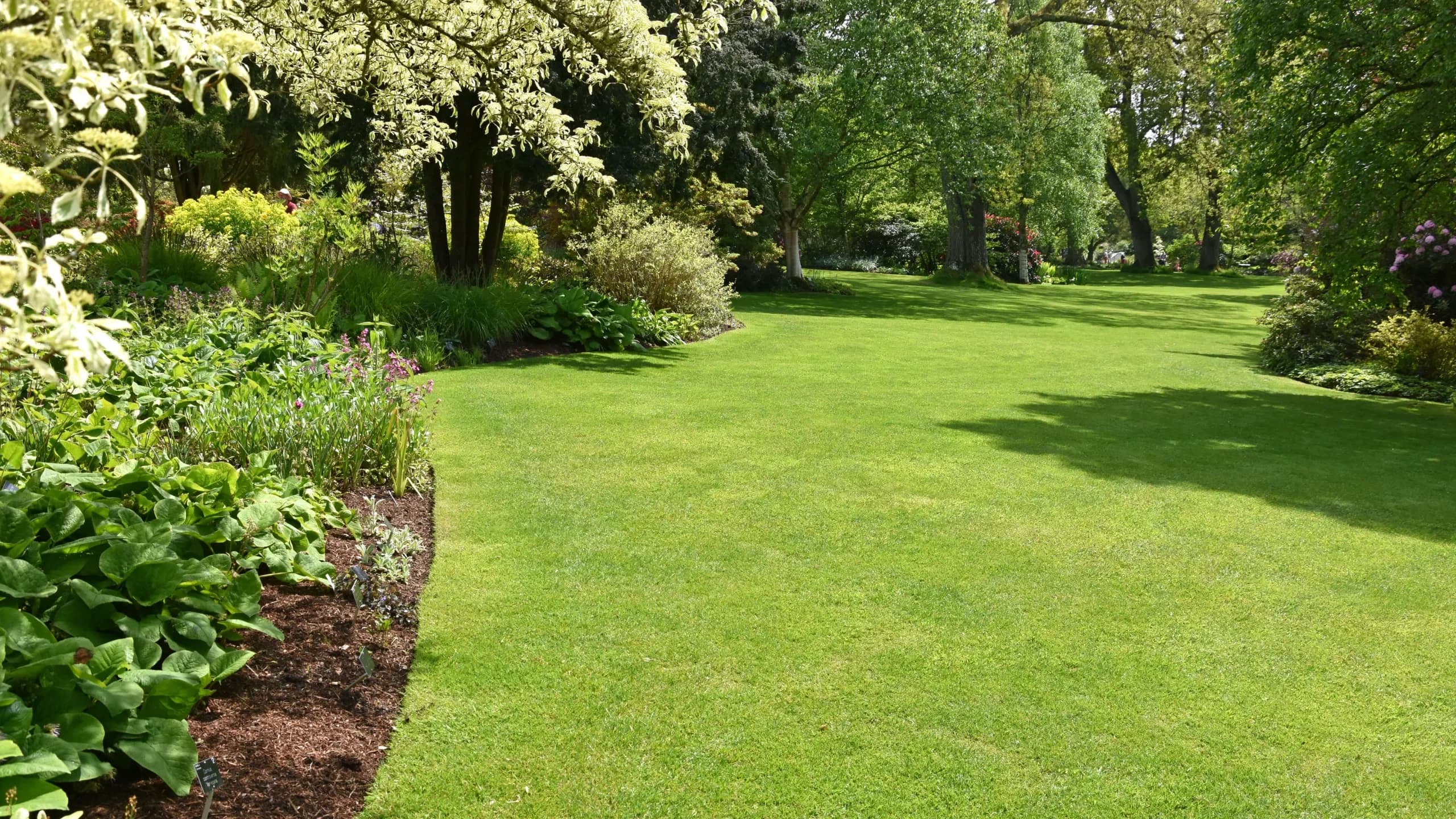 Image of english lawn with trees and a flower border