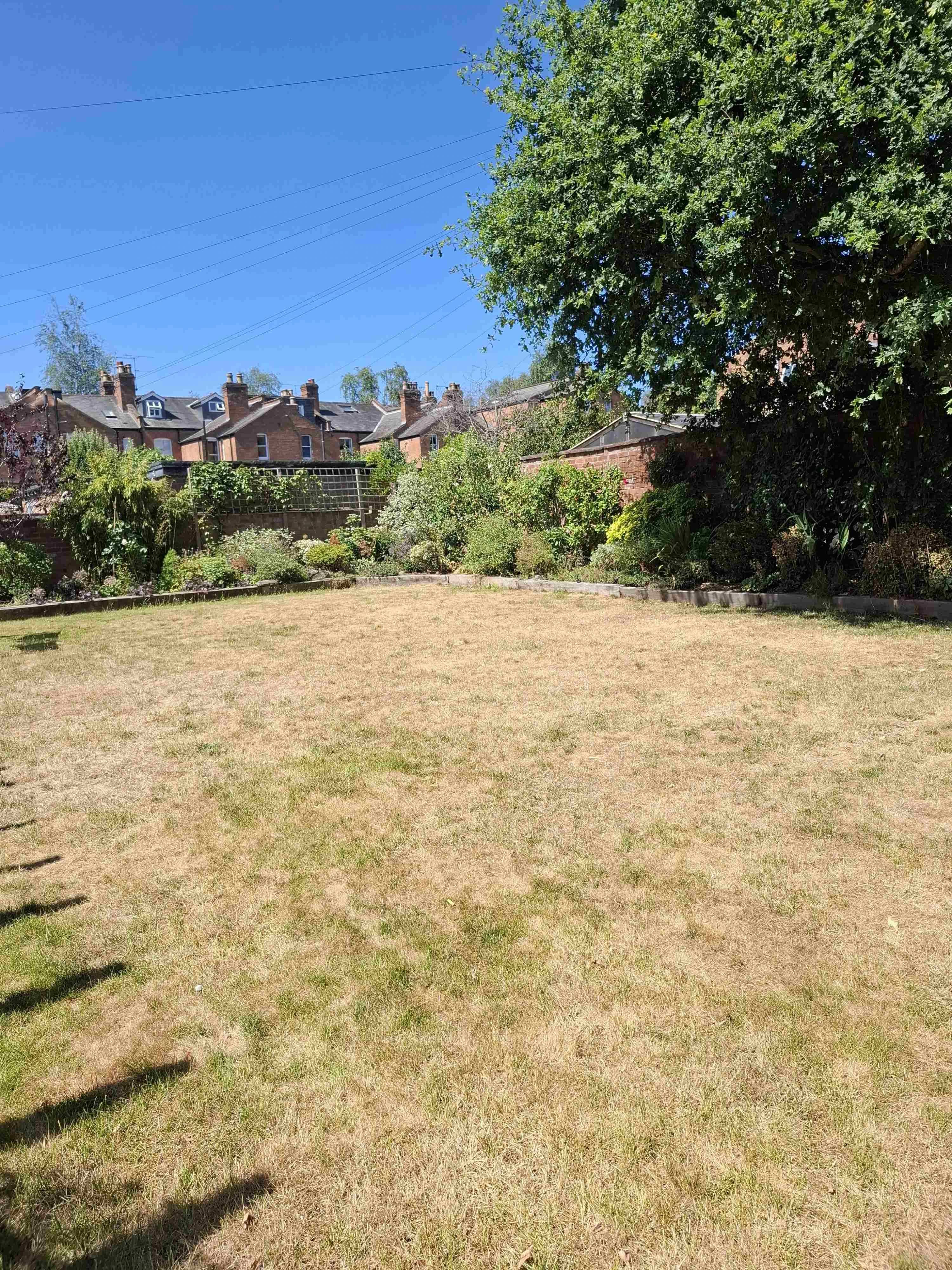 Image of lawn suffering from drought damage 