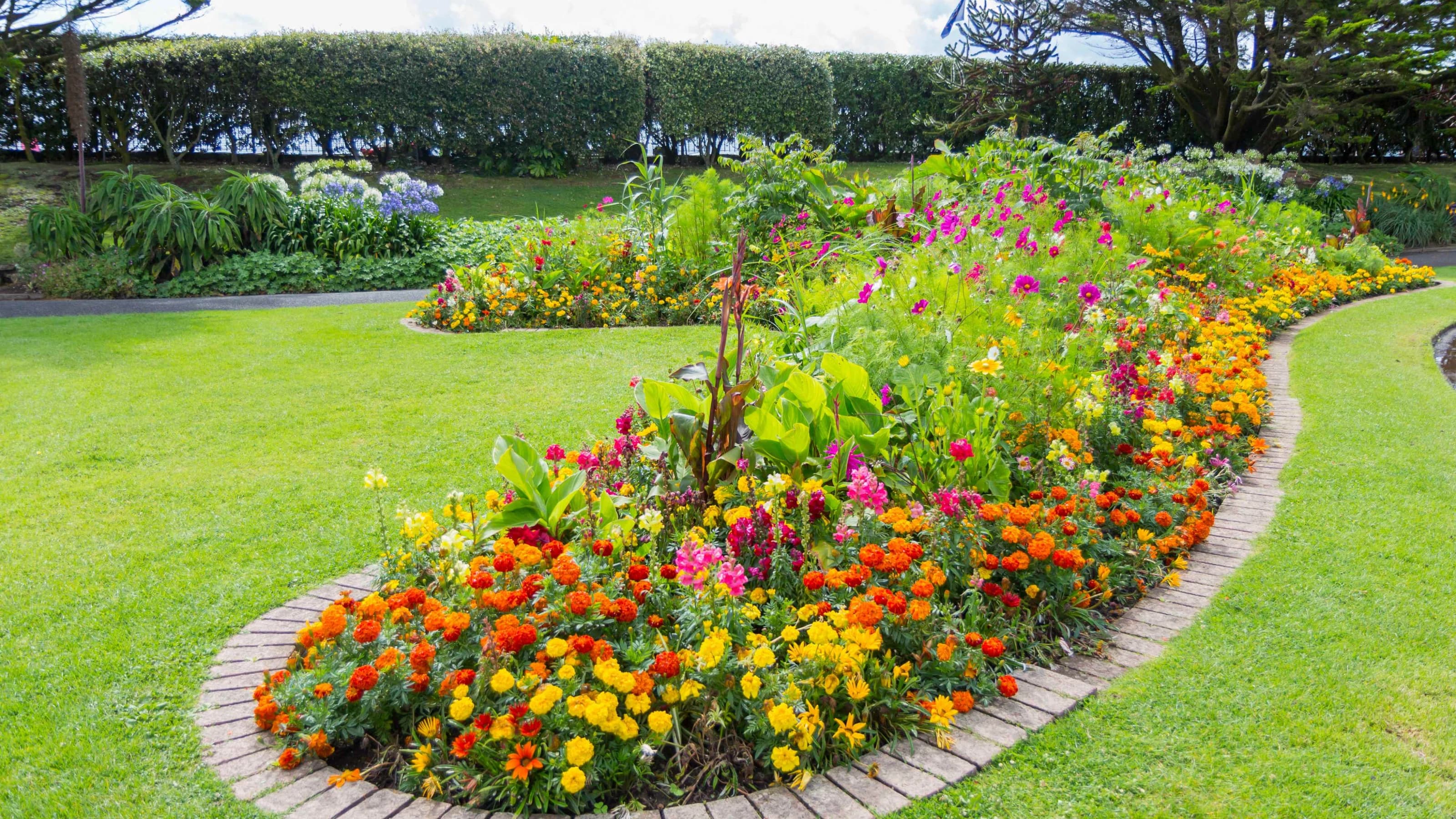 Lawn with flower beds full of bright, vibrant flowers