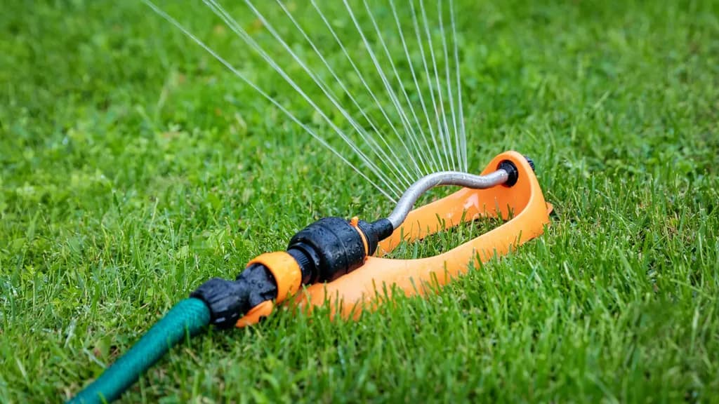 Lawn Mowing & Watering Guide: Best Practices